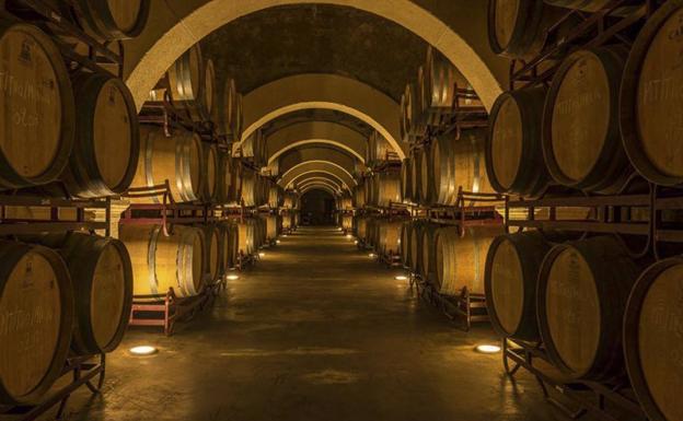 De la viña a la copa: visitas y catas de vino en bodegas de la Región de Murcia