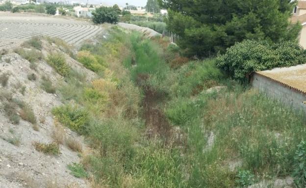IU-Verdes denuncia el «abandono» del entorno del polígono de Los Peñones en Lorca