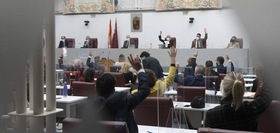 En directo, el Pleno de la Asamblea debate la Proposición de Ley de lucha contra la violencia machista