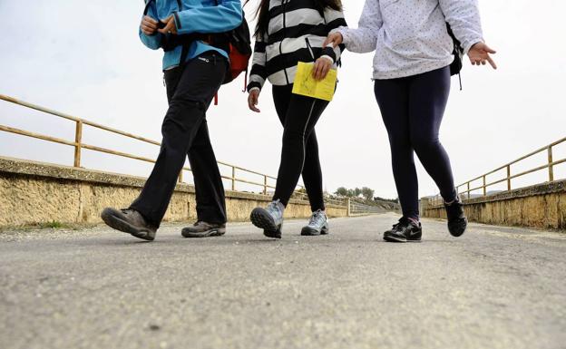 Cuatro nuevas rutas para escolares y familias animan a andar 10.000 pasos en Murcia y pedanías