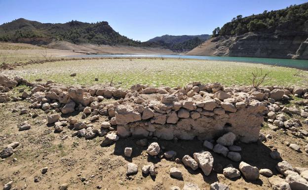 Así chupan los bosques el agua de los pantanos