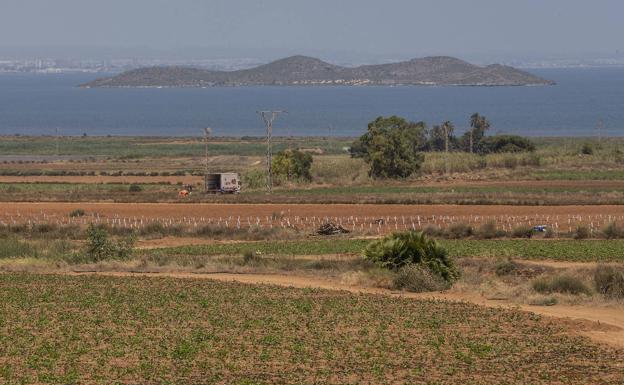 El sector agro reclama la reforma de varios artículos de la ley regional del Mar Menor