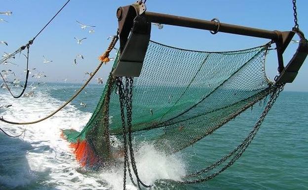 Oceana advierte del aumento de pesca de arrastre en el Escarpe de Mazarrón