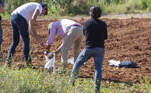 La Consejería corrige al Seprona y afirma que no hay metales en cultivos del Llano