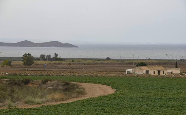 Proexport y las organizaciones agrarias piden a la CHS que anule las medidas cautelares al regadío del Mar Menor