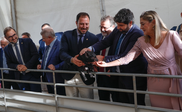 La ganadería regional exportó 255.000 toneladas en 2021 y se abrió al mercado asiático y norteamericano