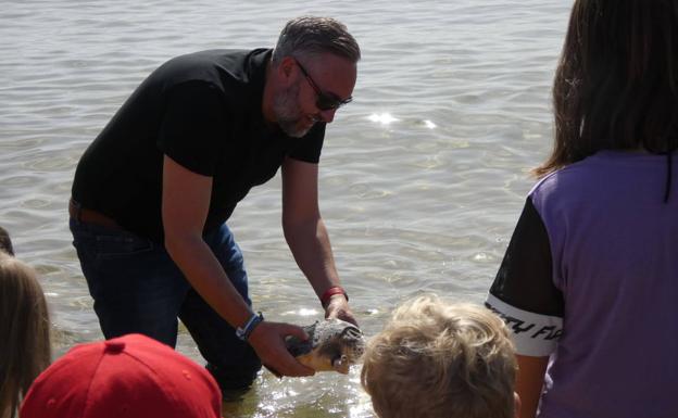 Liberan un ejemplar de tortuga boba en Calblanque