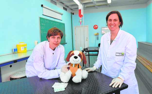 Simulador ‘low-cost’ para extraer sangre a mascotas