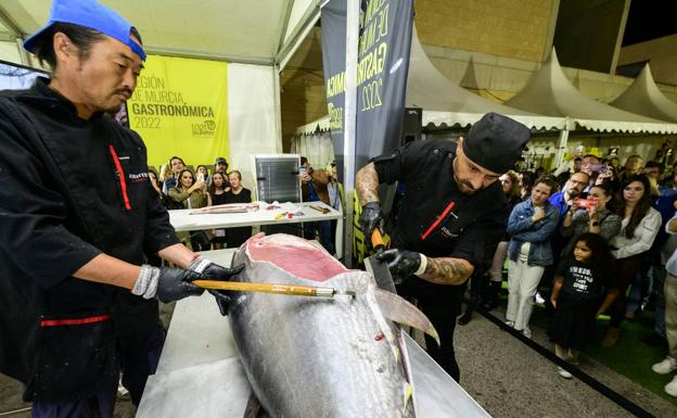 Ronqueo de atún, un espectáculo insólito que acaparó las miradas