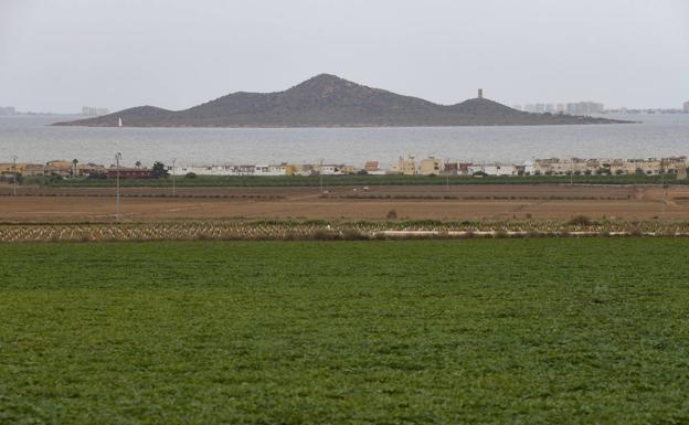 Pacto por el Mar Menor lamenta la baja proporción de cultivos ecológicos junto a la laguna