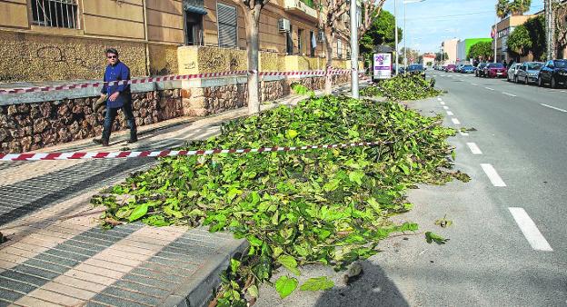 Quejas por las podas sin retirar en Cartagena