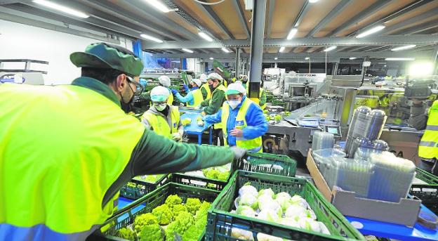 Un nuevo decreto obligará a vender a granel verdura y fruta en cantidad inferior a 1,5 kilos