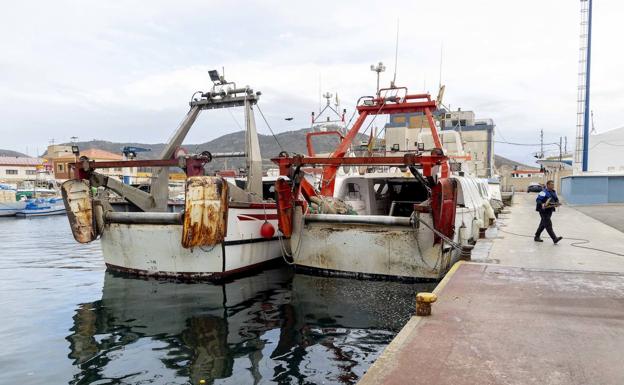 Los pescadores de la Región recibirán un millón de euros por la pérdida de días de faena