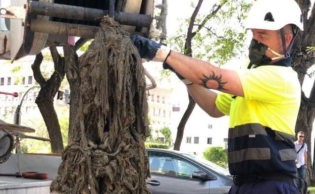 Aumenta entre un 4% y un 6% el coste del tratamiento del agua por las toallitas en Murcia