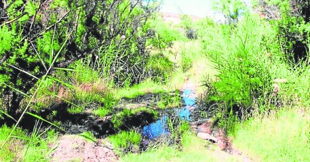 Aprueban la restauración ambiental del humedal de la Fuente El Chorrico de Molina de Segura