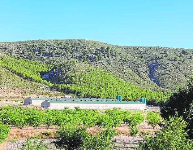 El cerro Tornajo de Lorca aguarda su protección ambiental