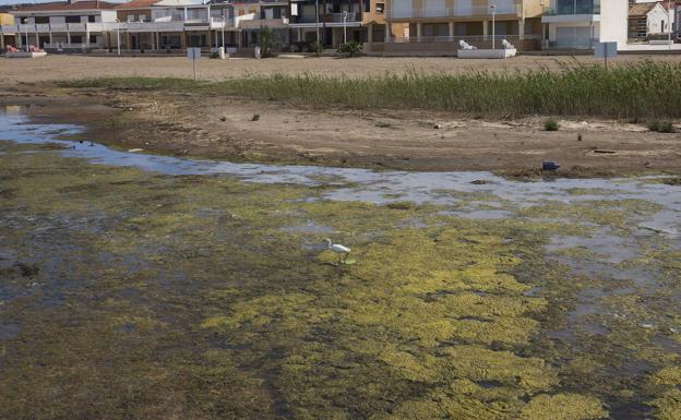 La Comunidad prevé sancionar con 800.000 euros a una empresa por daños al Mar Menor