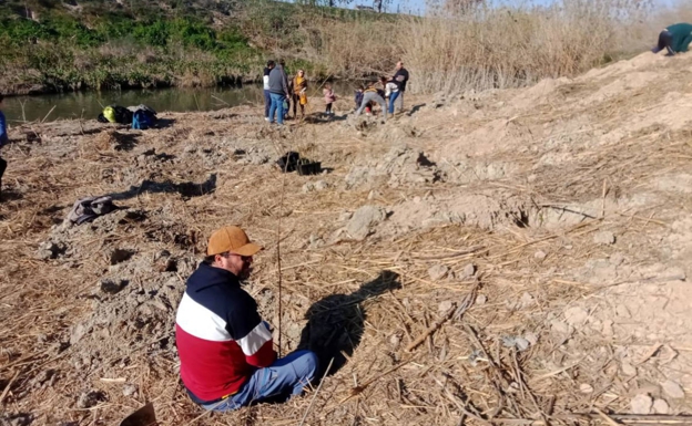 Murcia recupera doce kilómetros de bosque de ribera en la última década