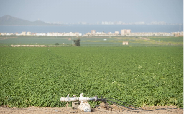 La CHS registró un aumento del 10% de los niveles de nitratos en los acuíferos de la zona del Mar Menor