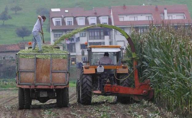 La nómina de 2,5 millones de trabajadores con salario mínimo seguirá sin superar los 1.000 euros al mes