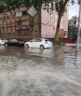 Imagen secundaria 2 - Árbol derribado en la avenida Primo de Rivera, ramas caídas en la avenida del Infante y una carretera anegada en Juan de Borbón.