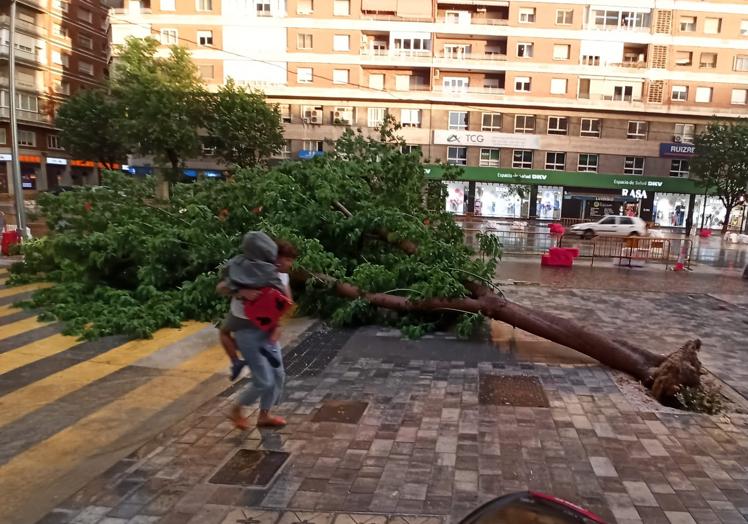 Imagen principal - Árbol derribado en la avenida Primo de Rivera, ramas caídas en la avenida del Infante y una carretera anegada en Juan de Borbón.