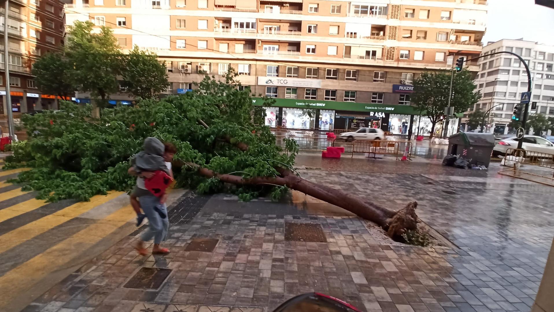 La tormenta derriba árboles en Murcia y corta el tráfico en dos viales