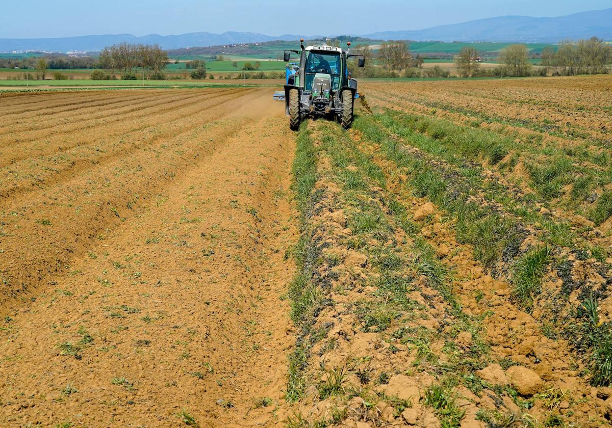 Unos 24.000 agricultores y ganaderos de la Región de Murcia se beneficiarán de la rebaja mínima del 25% en el IRPF 2022