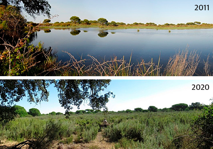 Doñana está en la UCI