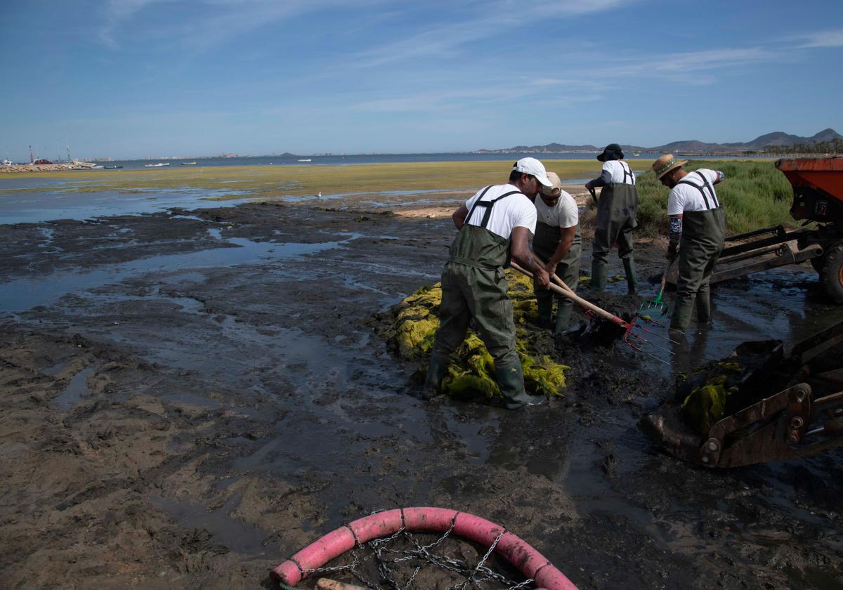 El Ministerio rechaza descargar el acuífero del Mar Menor y urge a la Comunidad a atajar los vertidos