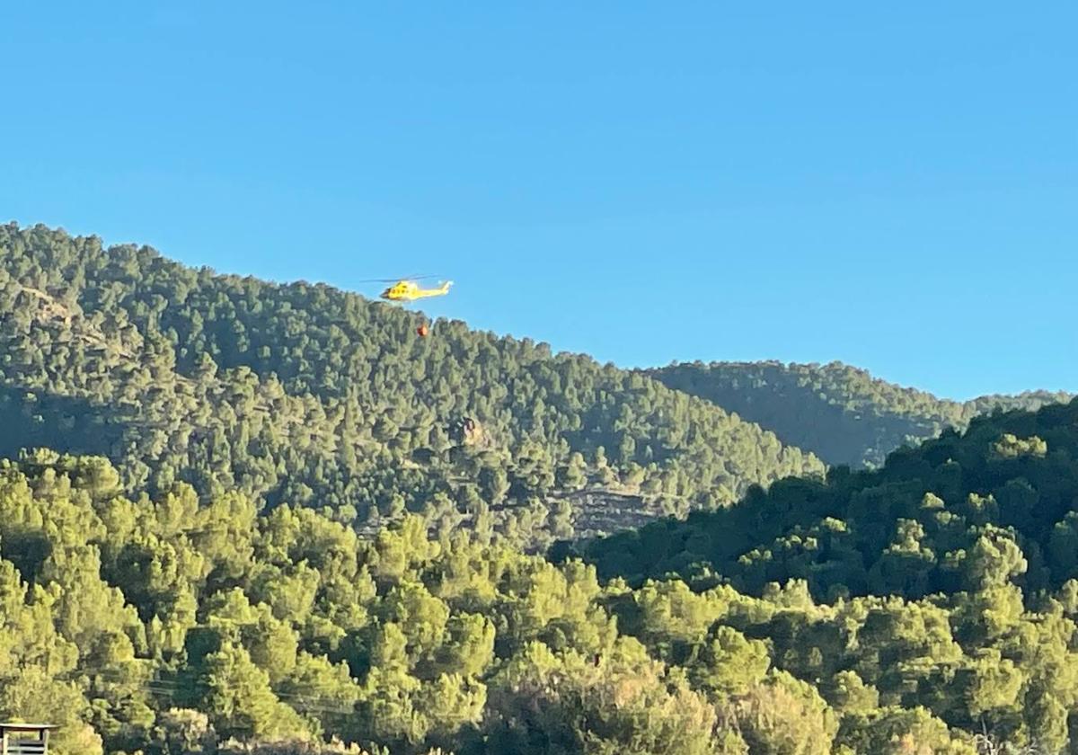 Bomberos y Policía Local trabajan para extinguir un incendio en la Sierra del Puerto