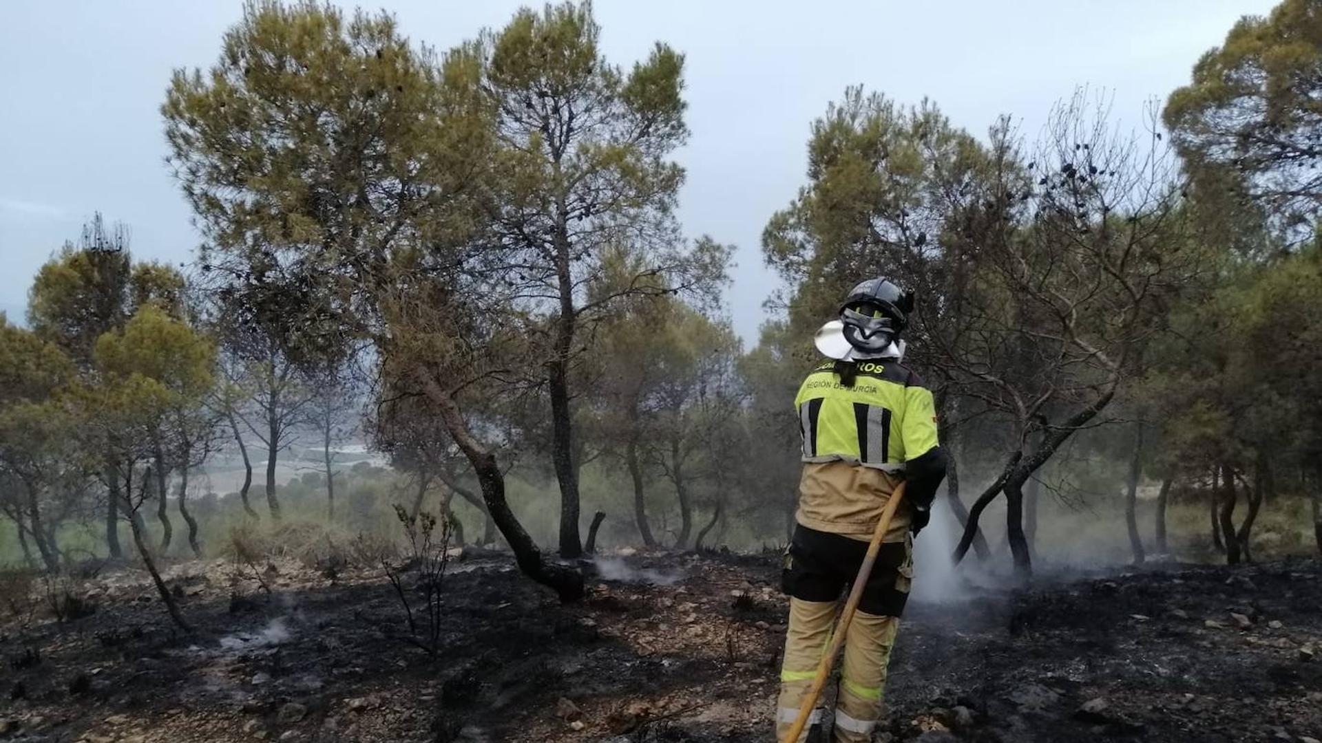 Los bomberos extinguen siete conatos de incendios forestales en Cehegín