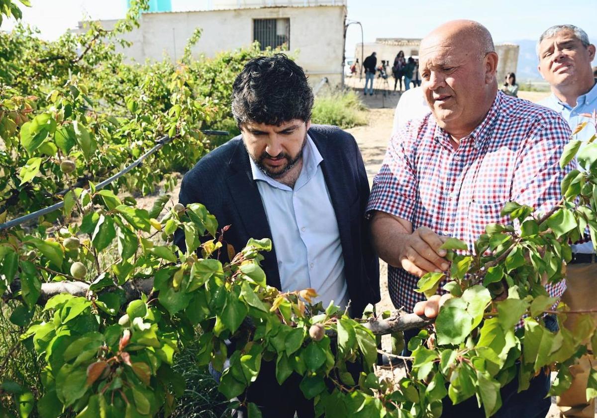 El ministro pedirá a la UE flexibilizar la PAC por la sequía, pero el campo lo considera insuficiente