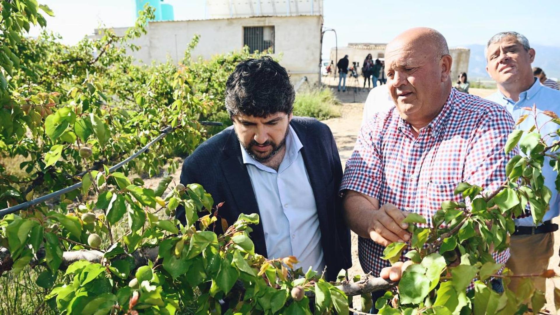 La Comunidad pondrá a disposición de agricultores y ganaderos líneas de crédito blandas para hacer frente a la sequía