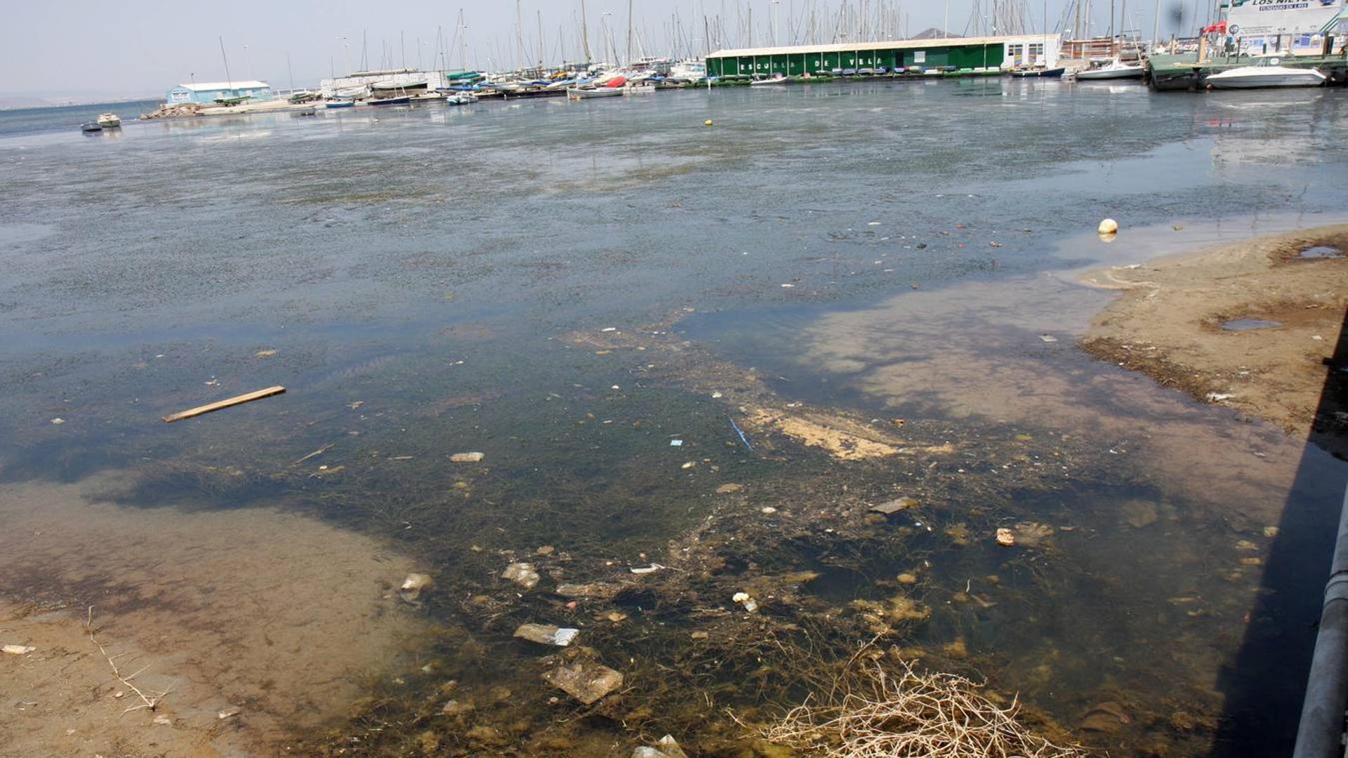 Fundación Ingenio detecta «intereses» para culpar al campo del estado del Mar Menor