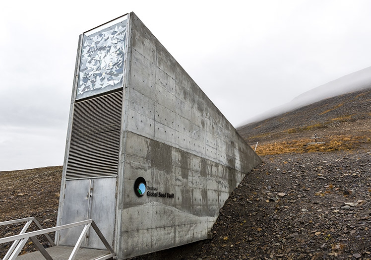 El almacén de semillas de las Svalbard, conocido como el Arca de Noé, sin hielo durante un verano.