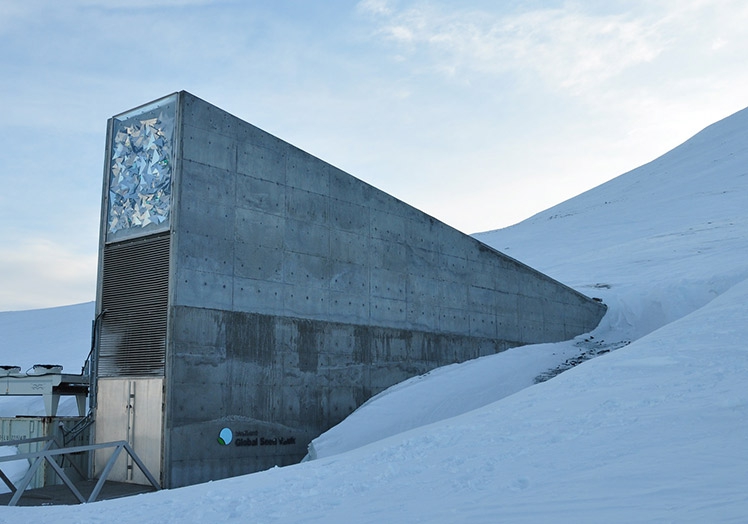 El almacén de semillas de las Svalbard, conocido como el Arca de Noé, cubierto de nieve y hielo durante un invierno.