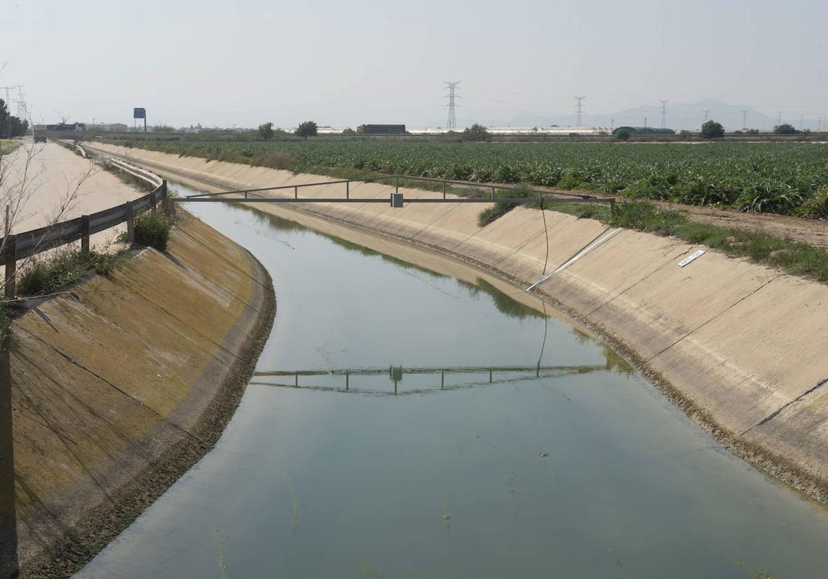 Coag alerta de la pérdida de cosechas de cereales en la Región debido a la sequía