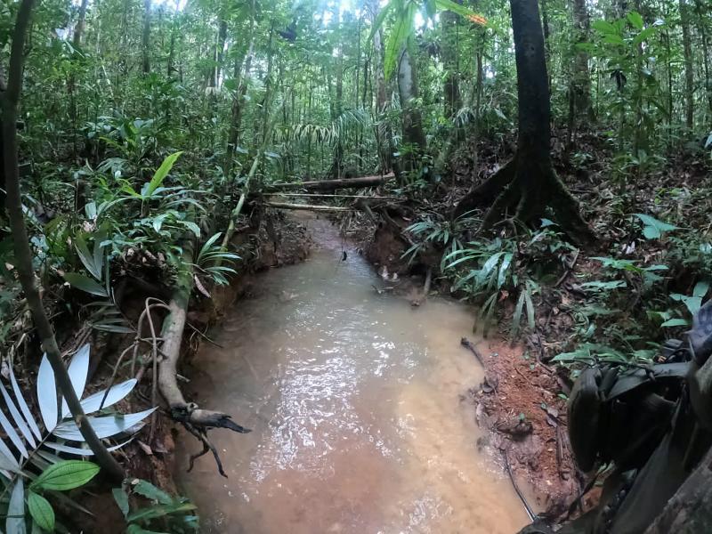 En este tramo de río, en el barro que bordea la orilla, fueron encontradas el jueves huellas de pisadas infantiles