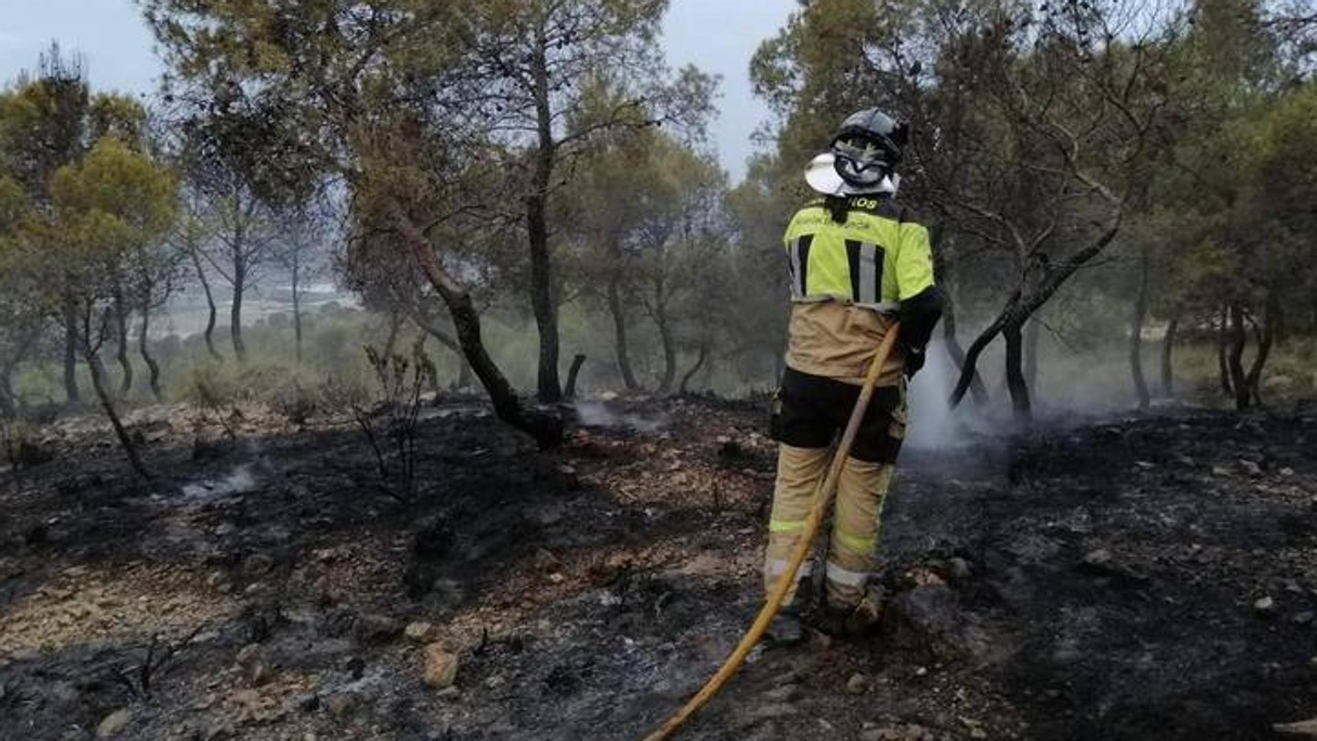 Detienen al presunto autor de provocar más de una decena de incendios forestales en Cehegín