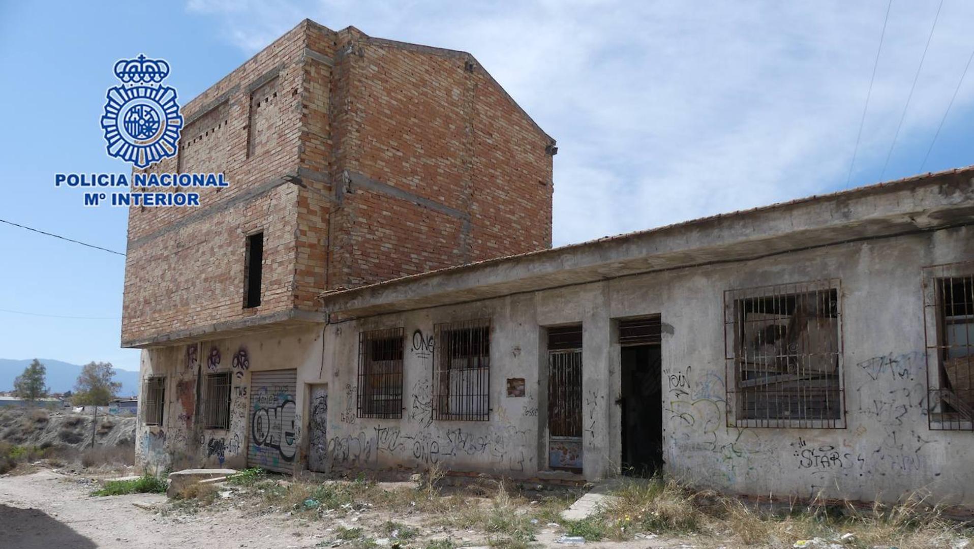 Hallan 300 plantas de marihuana en Alcantarilla y en una granja abandonada de Javalí Viejo