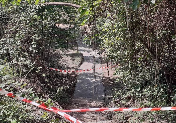 Polémica por el hormigonado del acceso al Salto del Usero en Bullas