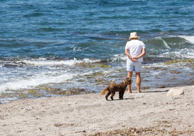 Playas con acceso para perros este verano en la Región de Murcia