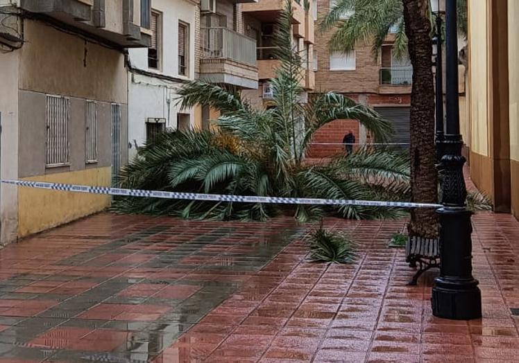 Un vistoso doble arcoíris sorprende a los vecinos de Murcia tras una breve tormenta