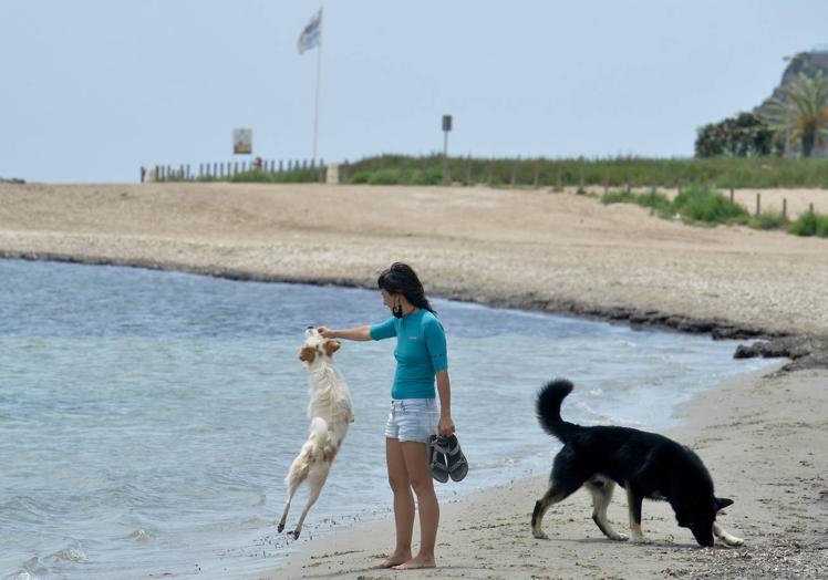 Imagen de archivo de una chica con sus dos perros en El Gachero.