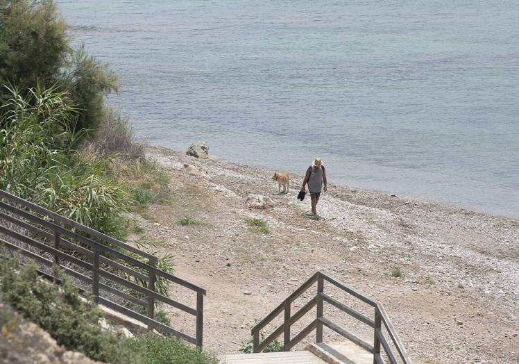 Imagen de archivo de un hombre junto a sus mascotas en La Calera.