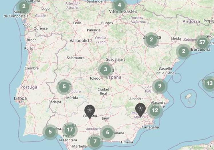 El nuevo mapa interactivo para consultar la presencia y la actividad del mosquito tigre