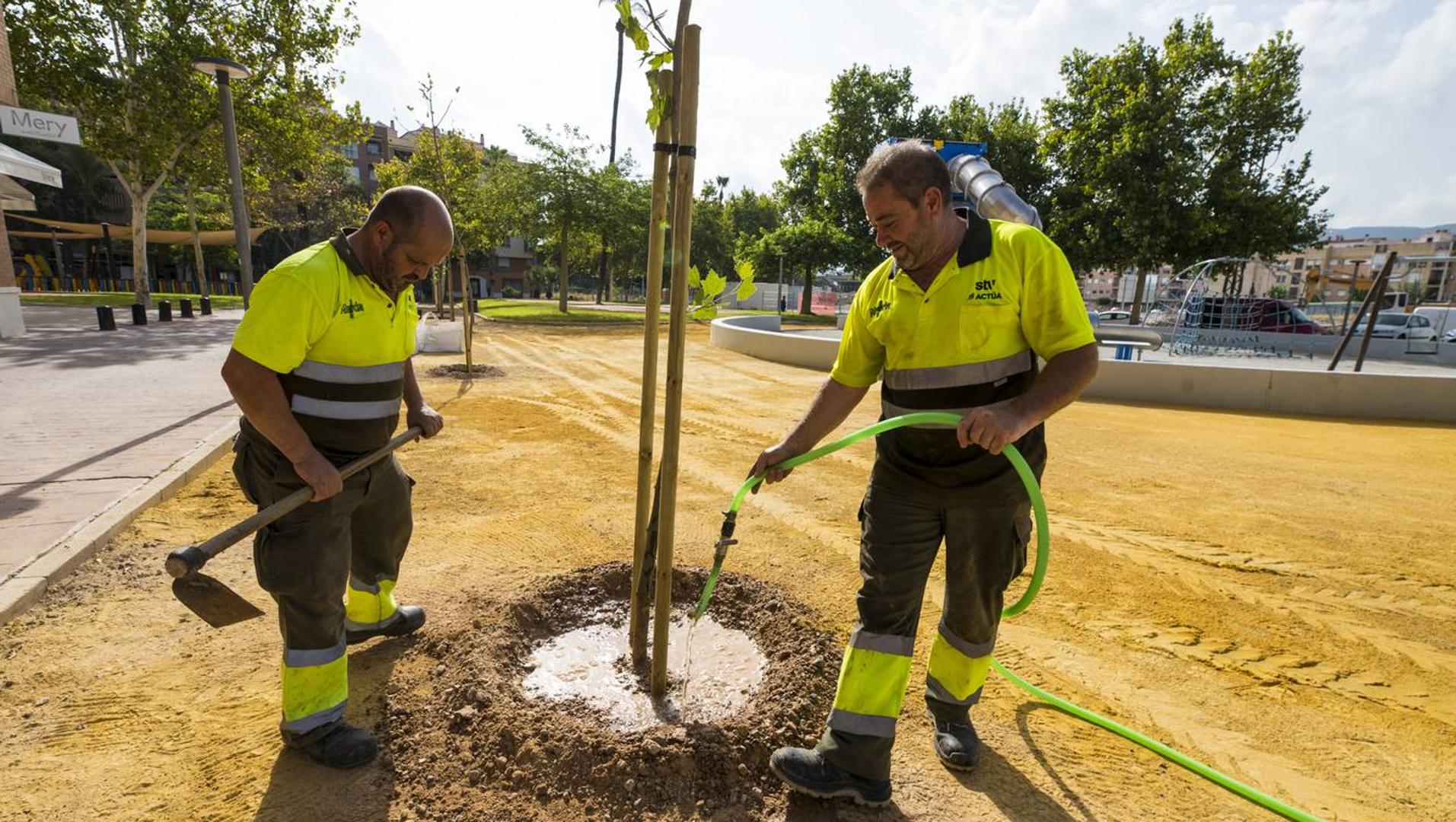 Ballesta incluirá otros 50.000 árboles en el nuevo contrato de Parques y Jardines