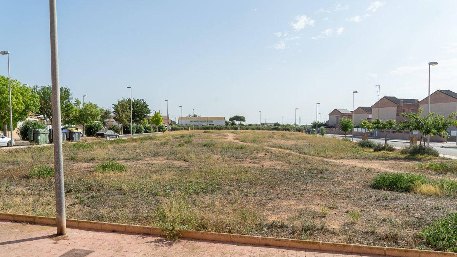 El Ayuntamiento de Cartagena cede una parcela para construir casas para personas con síndrome de Down