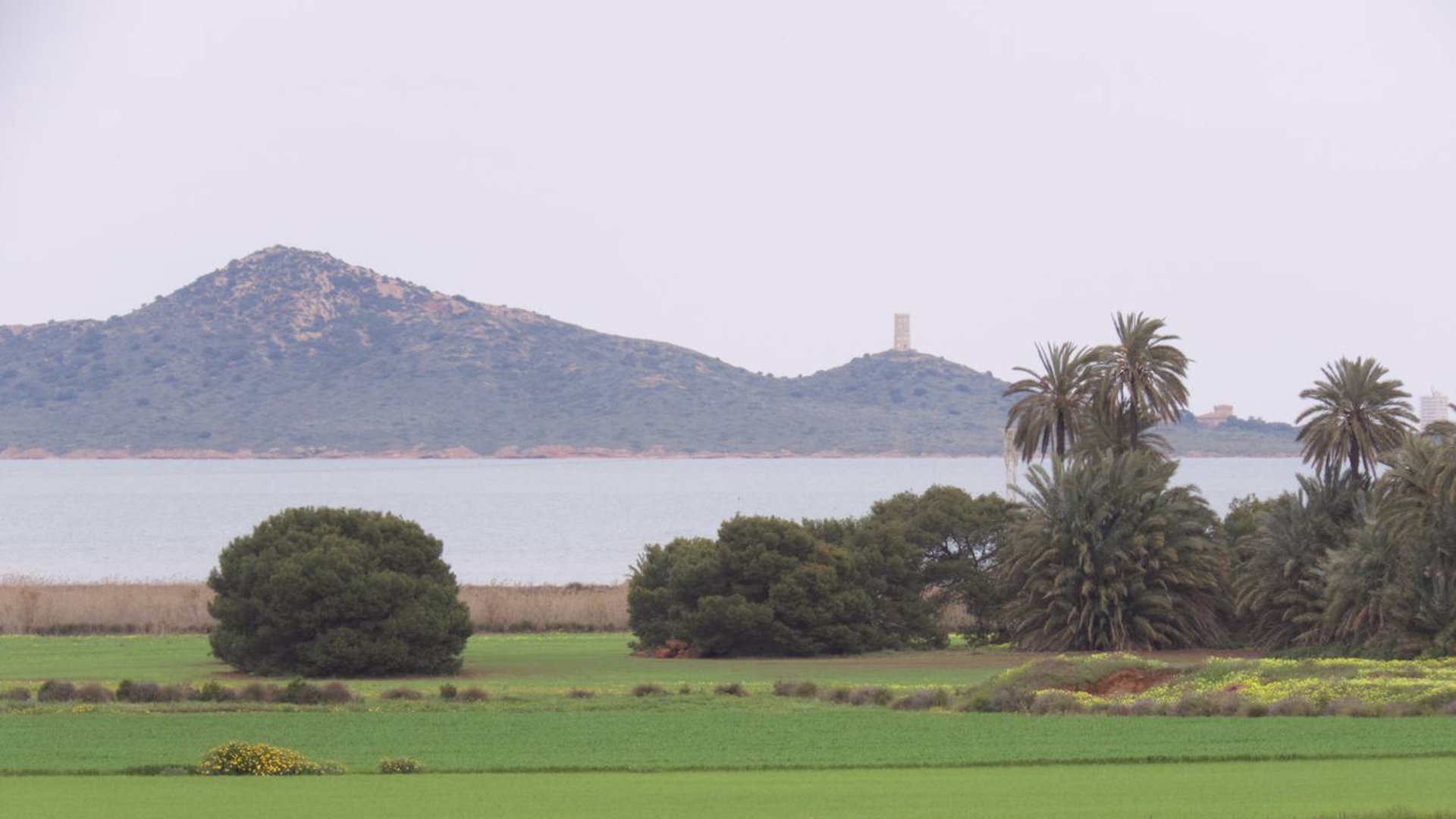 El Ministerio recibe 20 propuestas para la mejora ambiental del regadío junto al Mar Menor